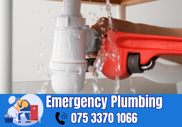  plumber Grove Green
